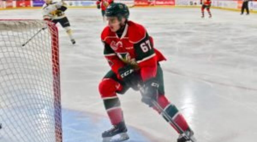 Quebec Major Junior Hockey League results (from Sydney Wednesday)