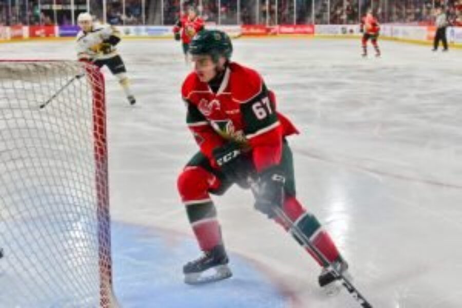 Quebec Major Junior Hockey League results (from Sydney Wednesday)