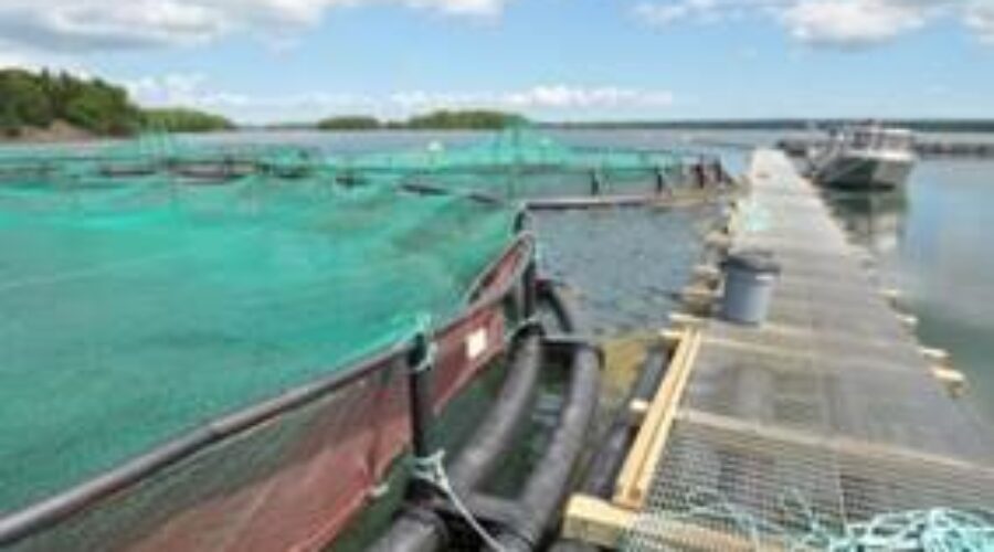 Aquaculture funding announced for pair of Inverness Co. First Nations community projects