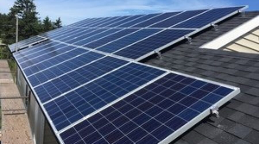 ACE Co-op reps pleased with success