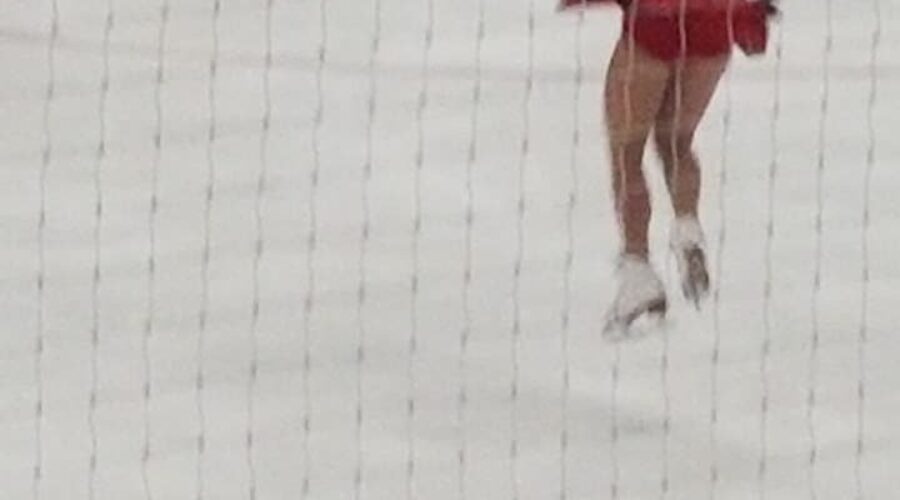 Local figure skaters earn provincial medals