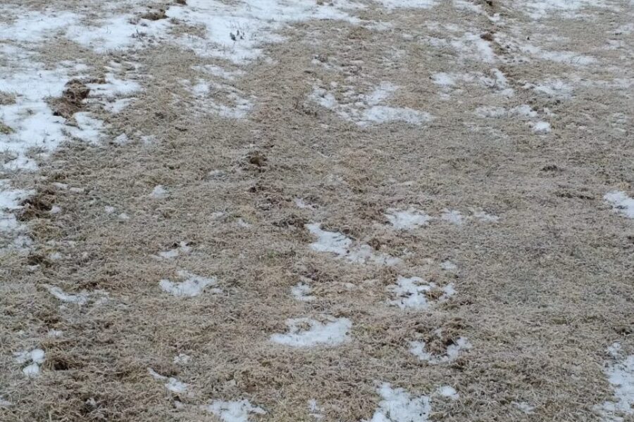 Port Hawkesbury RCMP investigate mischief at community park