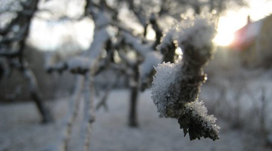 Environment Canada officials say late push of winter weather covered majority of season