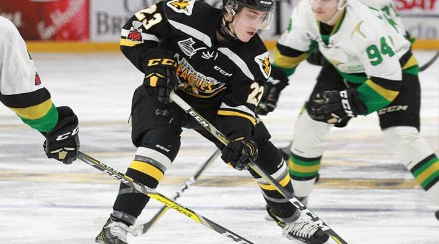 Quebec Major Junior Hockey League (from Val-d’Or Friday)