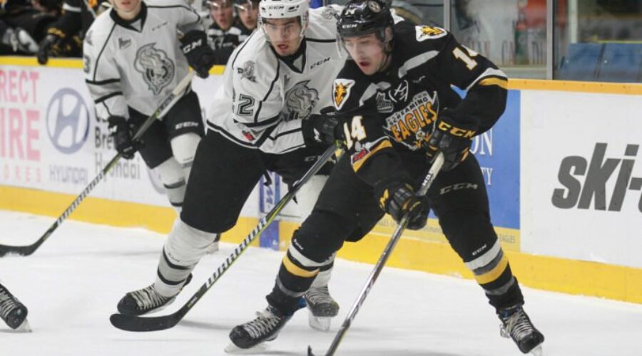 Quebec Major Junior Hockey League results (from Gatineau Wednesday)