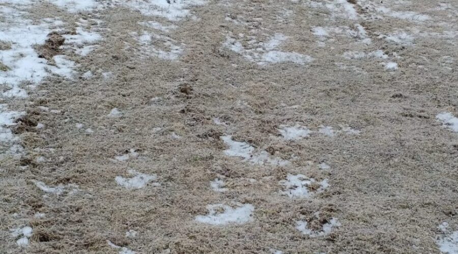 Port Hawkesbury’s mayor disappointed by mischief damage in community park