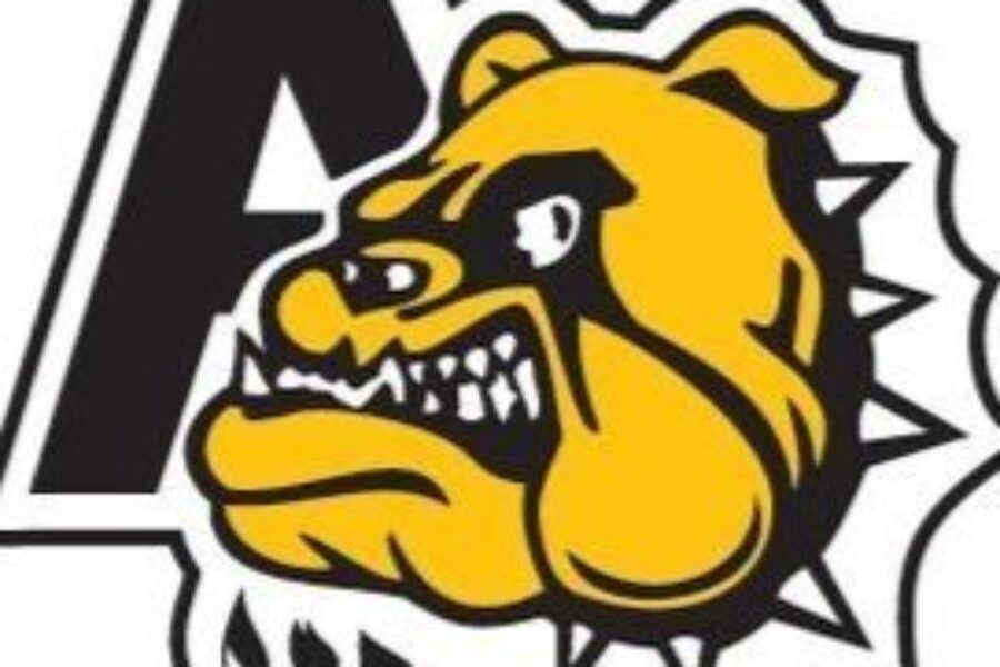 Peewee AAA hockey provincial results (from Tantallon Sunday)