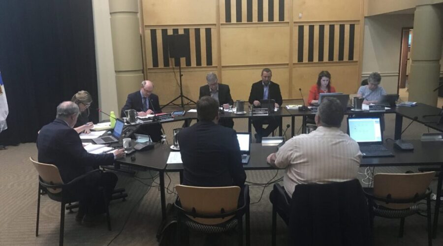 New small business activity in Port Hawkesbury