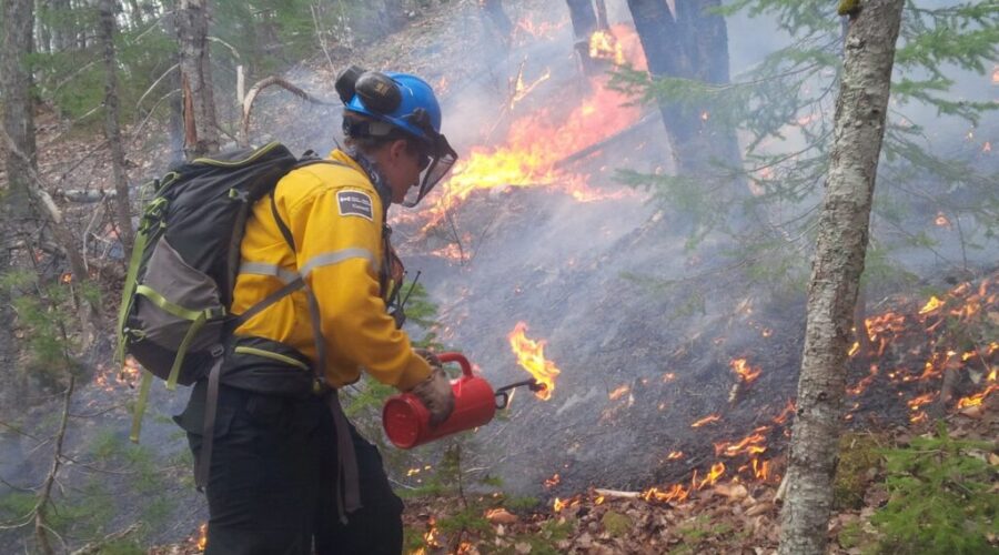 Parks Canada officials plan prescribed fire in Cape Breton Highlands National Park