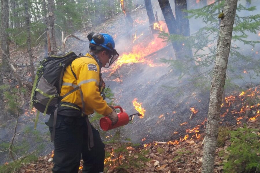 Parks Canada officials plan prescribed fire in Cape Breton Highlands National Park
