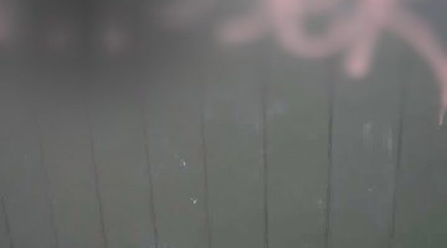 Police investigating racist graffiti sprayed on Guysborough Co. bus shelter