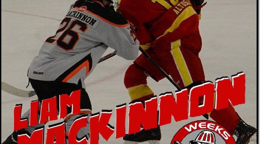 Islanders captain traded in MHL