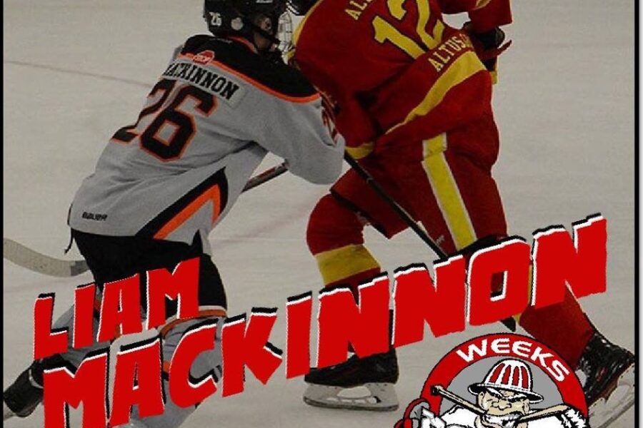 Islanders captain traded in MHL