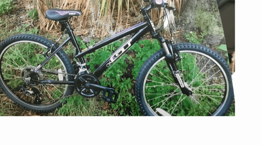 Police ask for help following bike theft