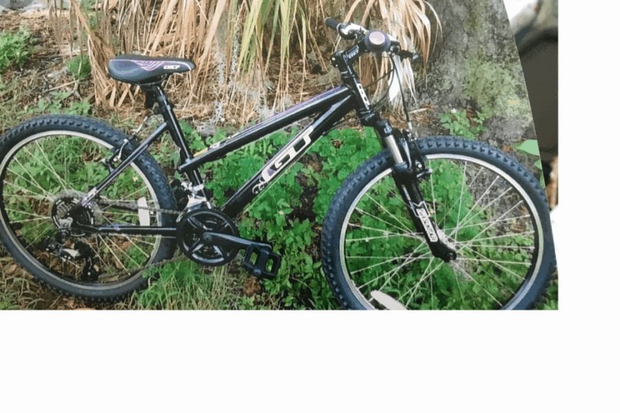 Police ask for help following bike theft