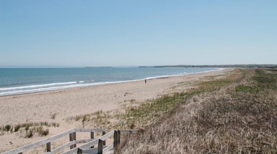 Mobi Mats hit Pomquet Beach