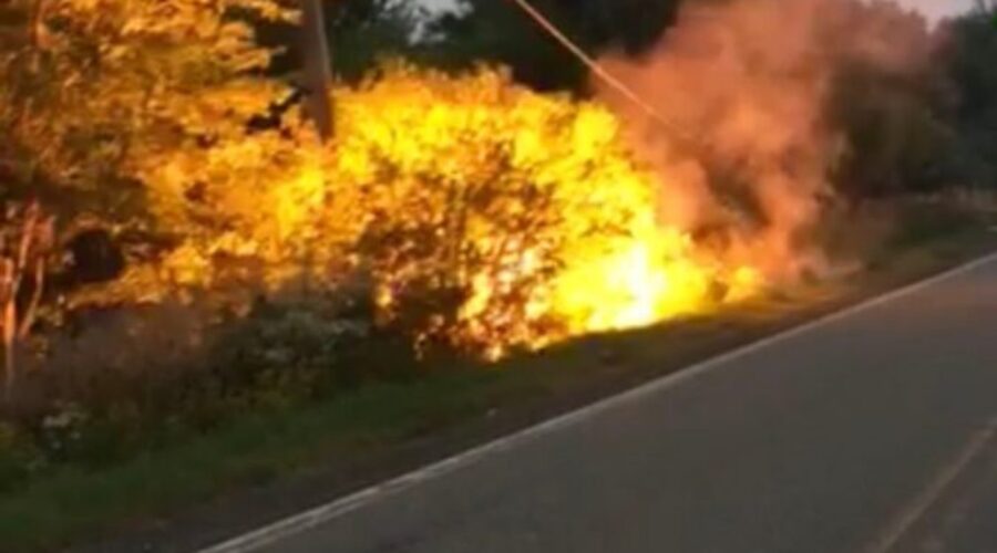 Update: No one hurt in Inverness Co. crash, road has re-opened