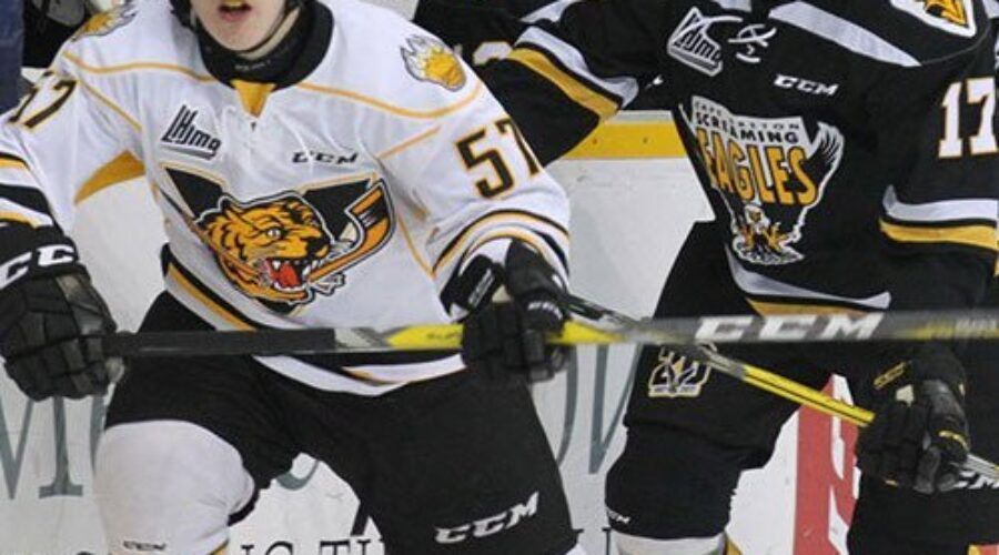 Quebec Major Junior Hockey League results (from Victoriaville Friday)