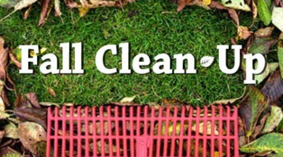 Inverness councillors approve fall clean up week