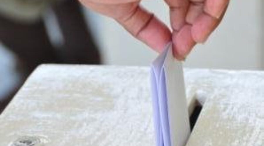 Special election to feature four candidates