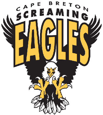 Quebec Major Junior Hockey League results (from Baie-Comeau Drakkar Saturday)