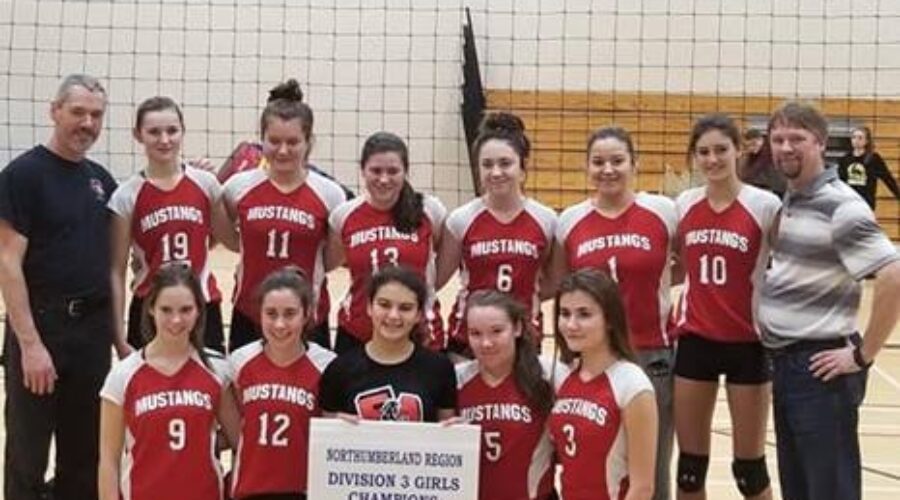 NSSAF Div. 3 girls volleyball regional tournament results (from Pomquet Sunday)