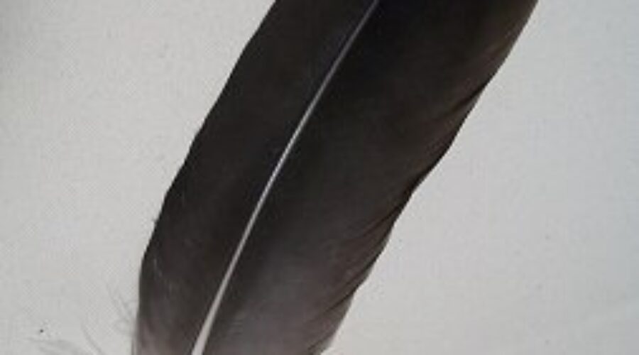 Paq’tnkek chief says incorporating eagle feather in courthouses is a good move