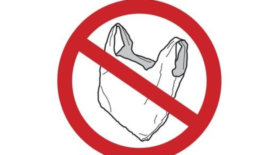 Town staff members reviewing single-use plastic bags