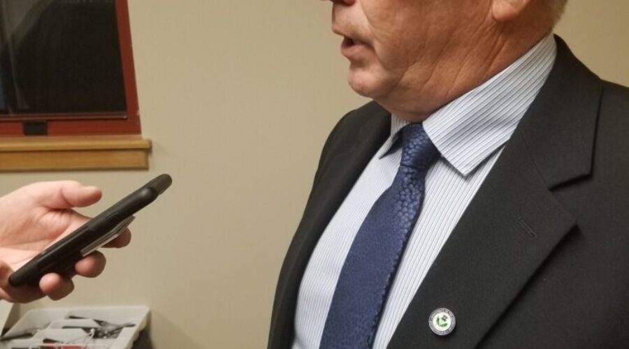 Councillors pass first reading of new dog bylaw