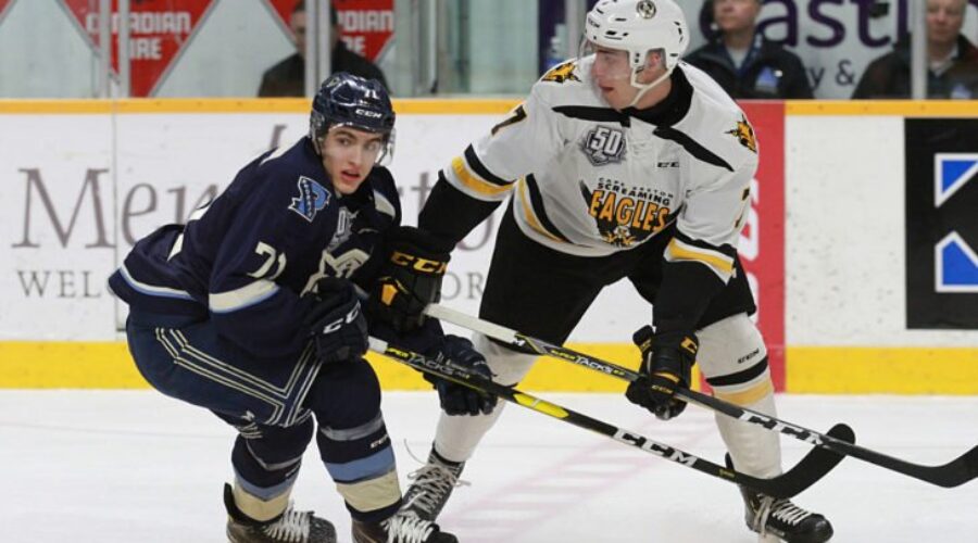 Quebec Major Junior Hockey League results (from Sydney Wednesday)