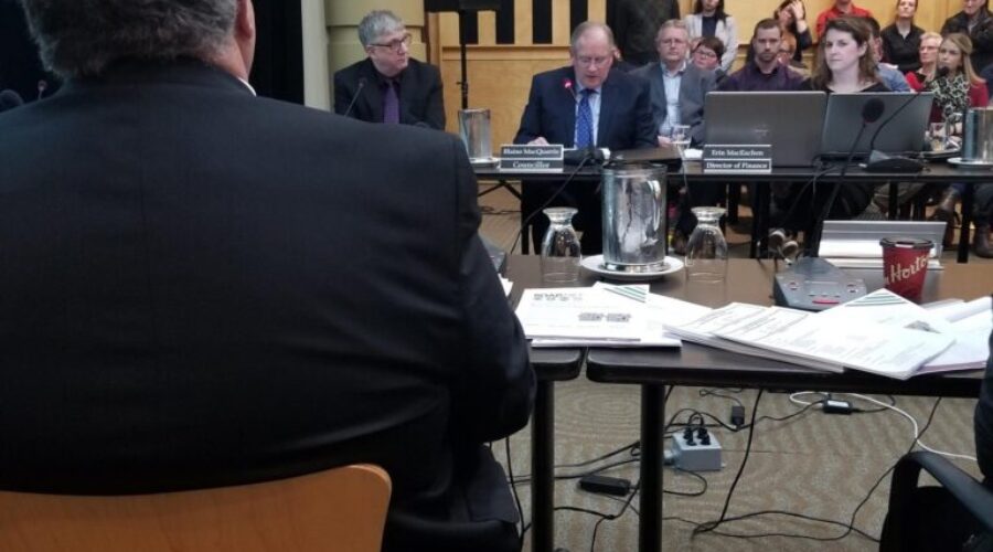 Councillors pass motion to support Destination Reeves St.