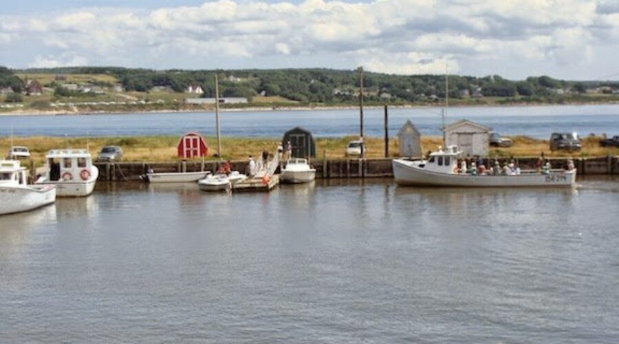 Warden says they hope wharf repairs will be done in spring or summer