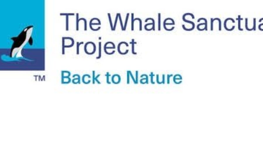 Whale Sanctuary Project meeting in Port Hawkesbury