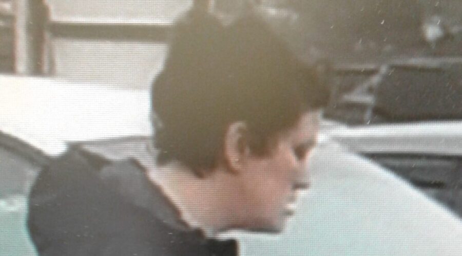 RCMP looking for woman after Richmond Co. theft