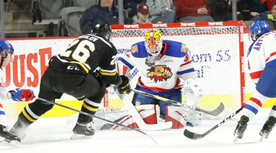 Quebec Major Junior Hockey League results (from Moncton Wednesday)