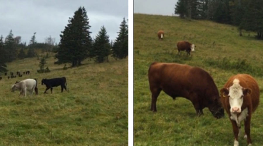 Federal officials provide $96,000 to local co-op