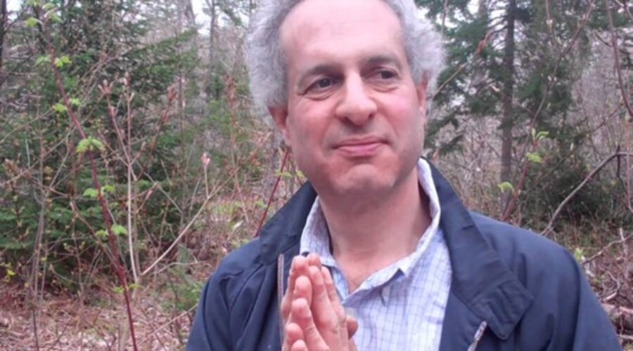 Environmental group members say they’d rather have aquatic centre than airport