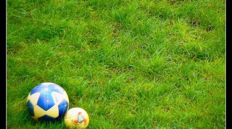 U13 Boys Soccer results (from Halifax Saturday)