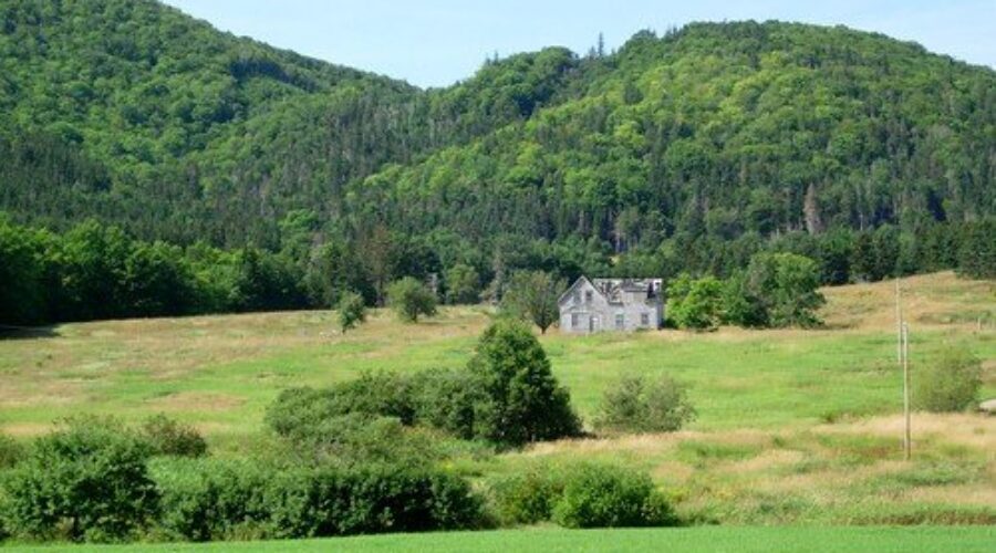 Nature conservation group nabs new coastal wilderness area