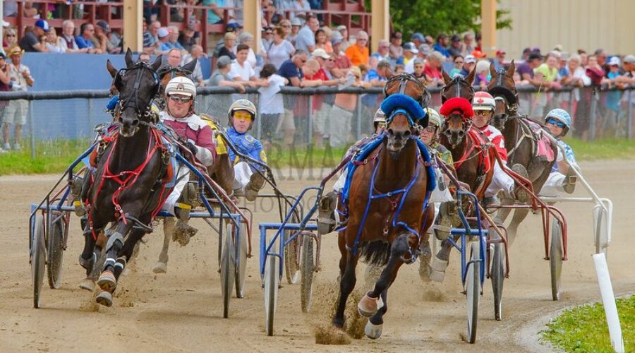 Local sports preview (Sunday)