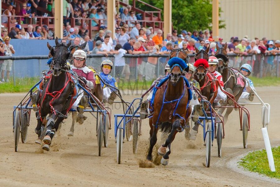 Local sports preview (Sunday)