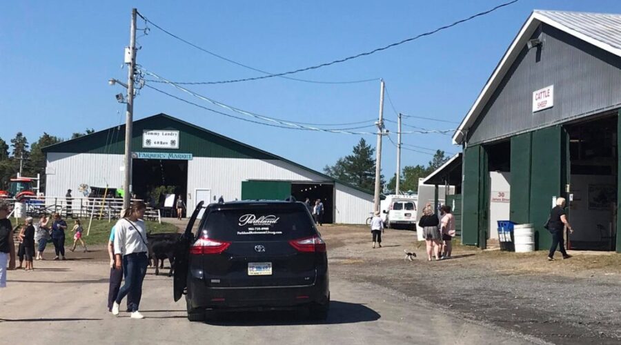 ENSE organizers say event was a success