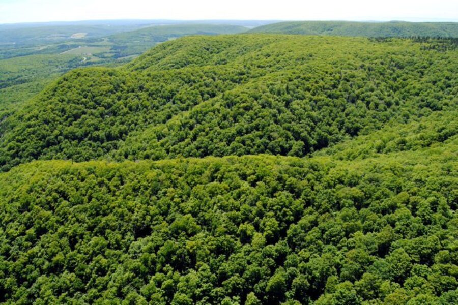 Provincial officials announce new Inverness Co. protected lands