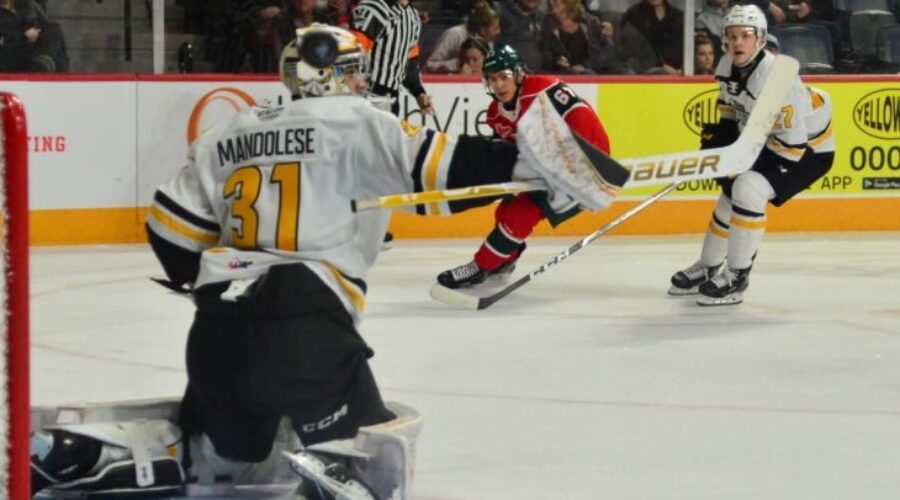 Quebec Major Junior Hockey League results (from Halifax Tuesday)