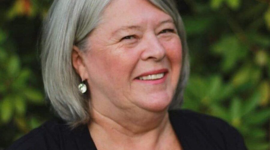 Independent candidate says party system is failing residents