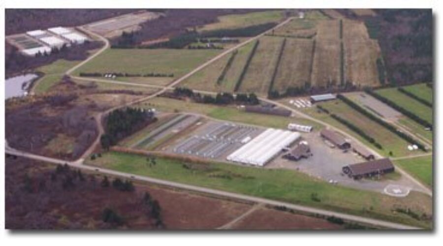 Councillor says tree nursery needs more government cooperation