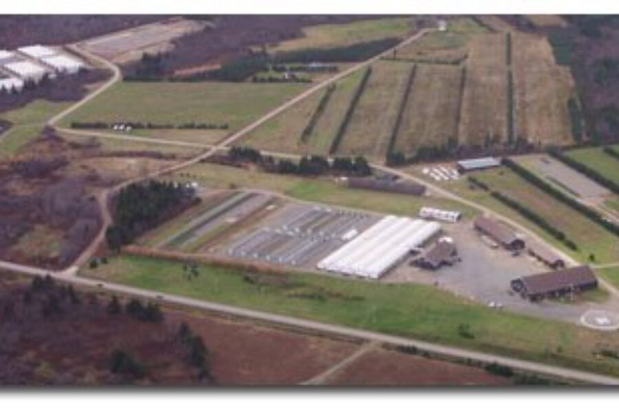 Councillor says tree nursery needs more government cooperation