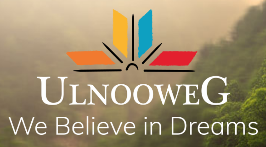 Funding announced for youth-led social and environmental groups