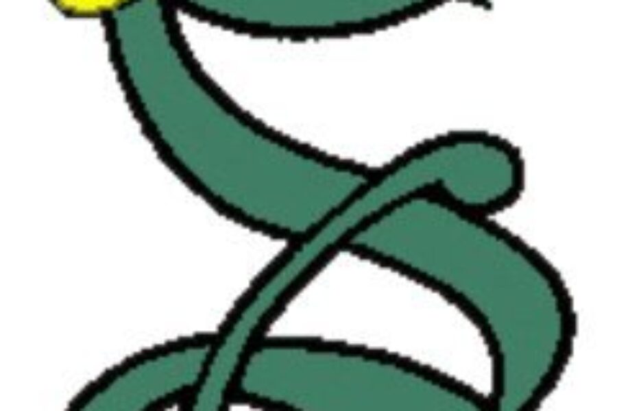 Cape Breton West High School Hockey League results (from Port Hawkesbury Sunday)