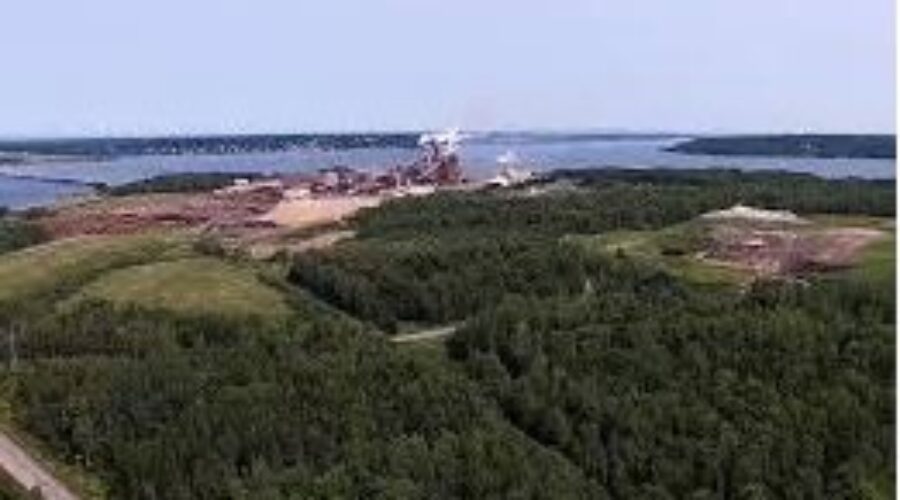 Northern Pulp prepares for layoffs as Boat Harbour Act deadline approaches